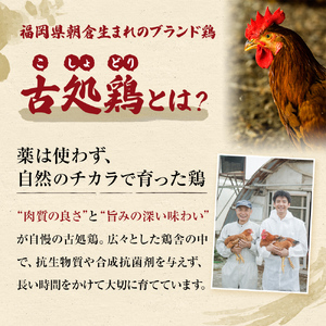 水炊きセット 5～6人用  古処鶏 こしょどり 安心  天野商店 配送不可 離島 鍋セット水炊き お肉 鶏肉 ムネ モモ 炙り 無添加ゆずポン酢 柚子胡椒 