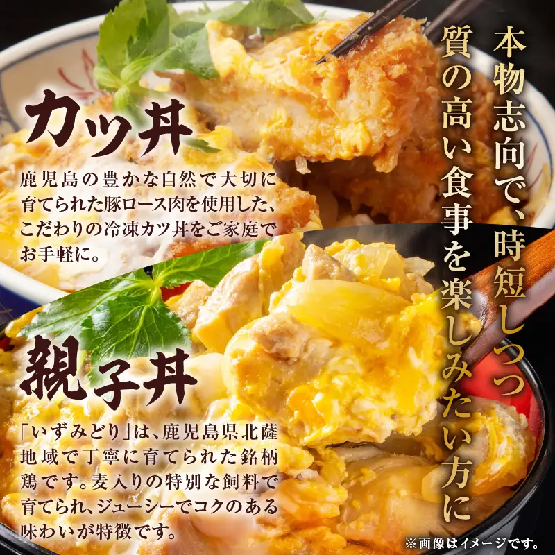 【 全12回 定期便 】鹿児島 の 丼 の 具 3種セット（1人前） K258-T05_01c 肉 豚肉 牛肉 惣菜 総菜 冷凍