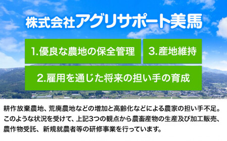 【 先行予約 】大寒に着く寒餅杵つき (白・よもぎ・こきび・たかきび) 4種類 36個 アグリサポート美馬 