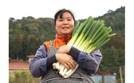 【先行予約】【訳アリ】朝採れ！アグリ福ちゃん 冬野菜セット（5種類） 旬 野菜 冬野菜 セット 【2026年12月上旬-2027年2月下旬頃発送予定】 ZS-6135