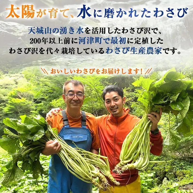生わさび 伊豆天城産 4〜5本 計300g 薬味 生わさび
