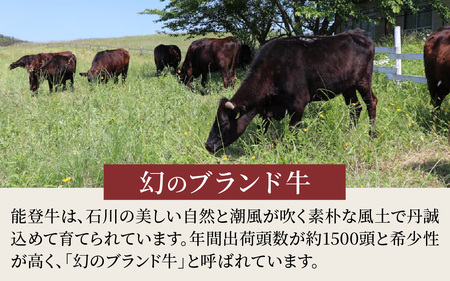 能登牛 肩ロース しゃぶしゃぶ用 450g  | 牛肉 ブランド牛