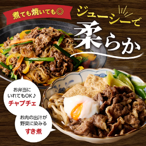 黒毛和牛 (博多和牛)  切り落とし 計4.0kg(400g×10パック)【伊豆丸商店】_HA1943
