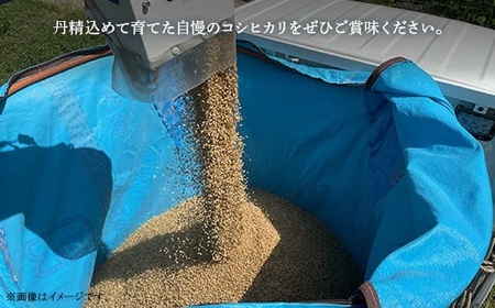 お米 食べ比べセット 5kg（コシヒカリ・きぬむすめ）井原市美星町産(令和8年産)