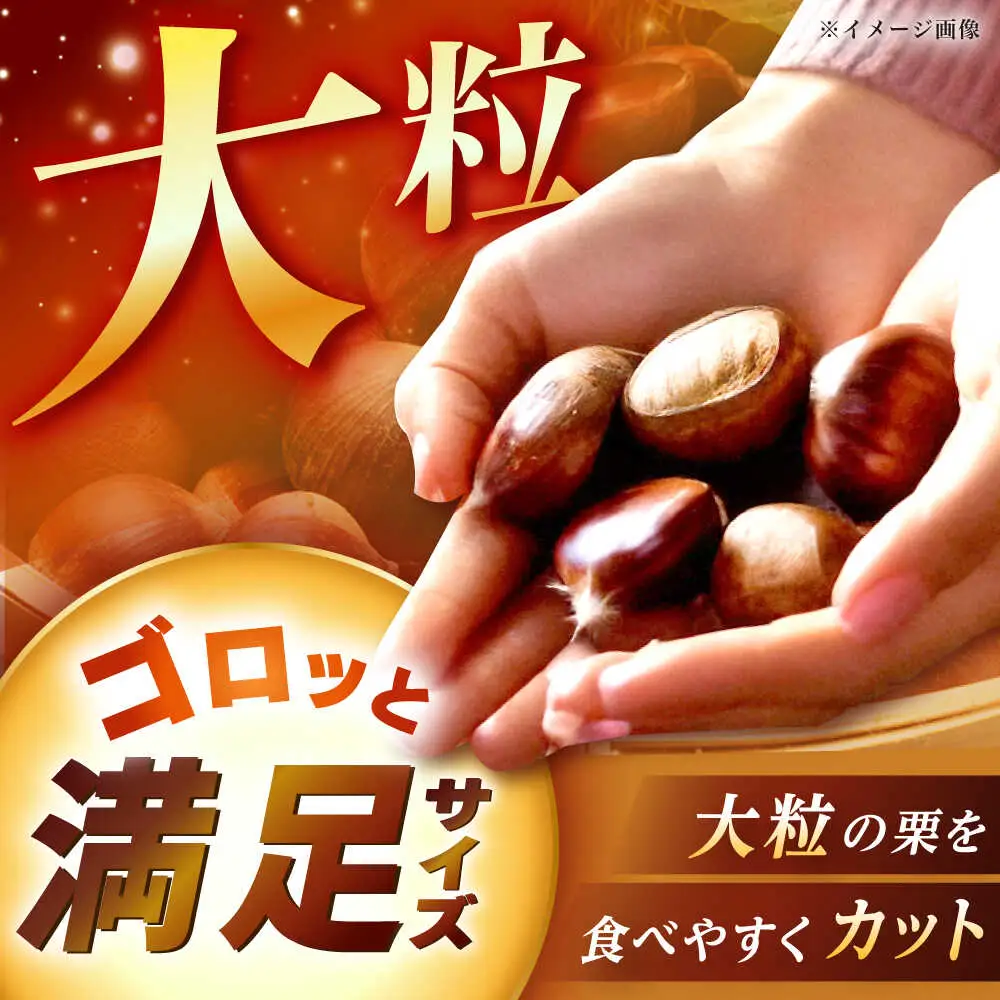 【先行予約】冷凍むき栗「日本栗」 カット500g（250g×2P） / 恵那市 / えな笠置山栗園 [AUAV006]