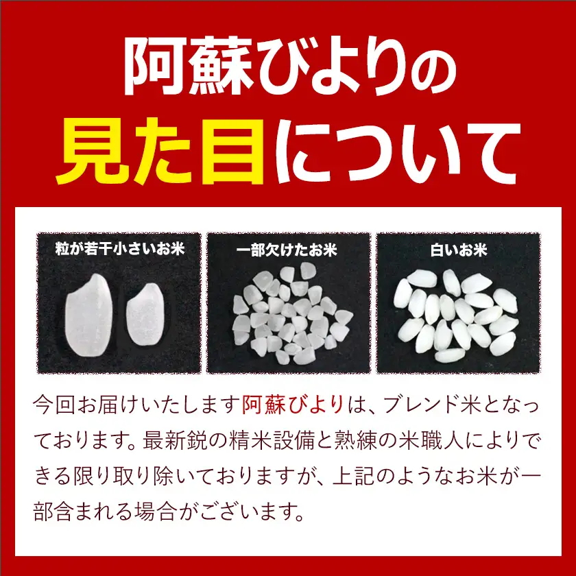 【隔月6回定期便】阿蘇びより 無洗米 5kg 無洗 