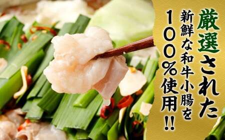 【2026年12月9日迄に入金確認で年内発送】 特選 もつ鍋 セット 10～12人前 醤油スープ モツ もつ 小腸 醤油 ちゃんぽん麺