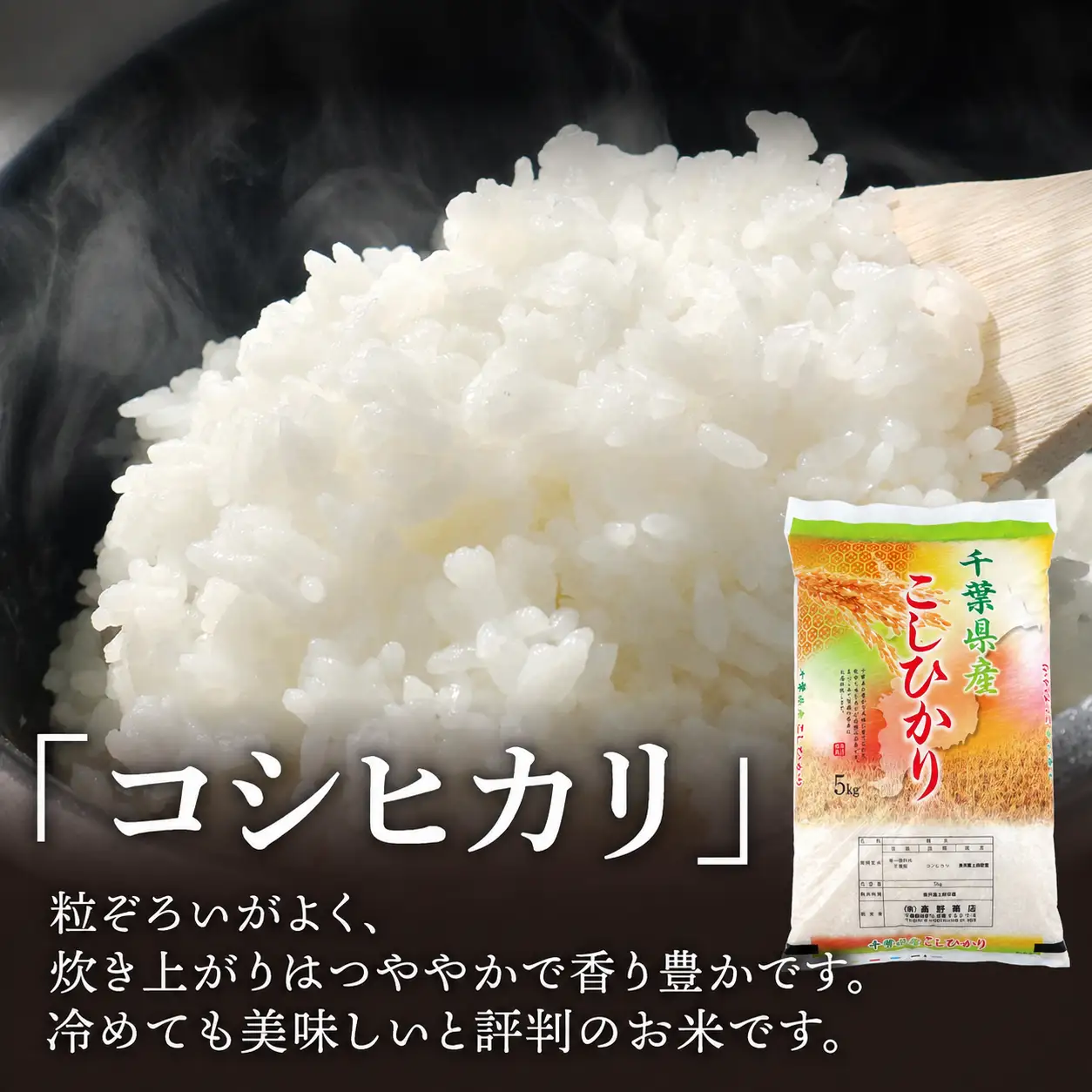 令和8年産 コシヒカリ10kg 日時指定可 こしひかり 千葉県 旭市 有限会社髙野商店