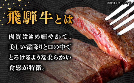 【12月発送】【飛騨牛】 A5等級 サーロイン ステーキ用 10枚 (計2.5kg) 和牛 ブランド牛 国産 牛肉 多治見市 / 渡辺精肉店 [TAZ003-12]