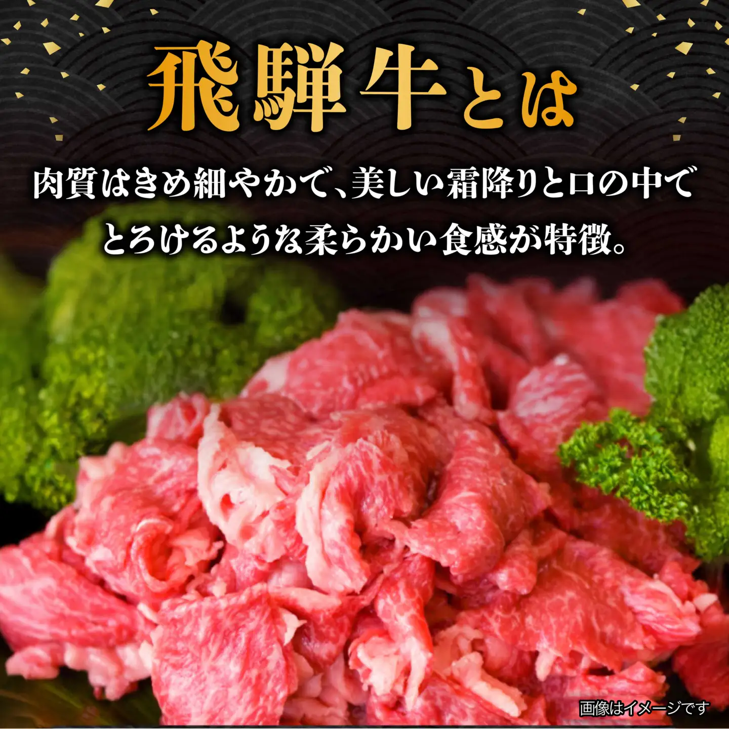 【10月発送】【飛騨牛】 切り落とし 500g 和牛 ブランド牛 国産 牛肉 多治見市 / 渡辺精肉店 [TAZ004-10]