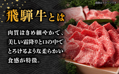 【9月発送】【飛騨牛 すき焼き用】 A5等級 ロース / 肩ロース 1kg 和牛 ブランド牛 国産 牛肉 多治見市 / 渡辺精肉店 [TAZ010-9]