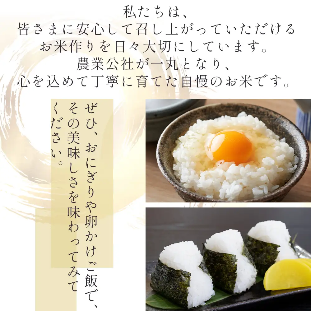 【2回定期便】令和8年産 コシヒカリ(特別栽培米) 無洗米 10kg 米 Wnu-0008