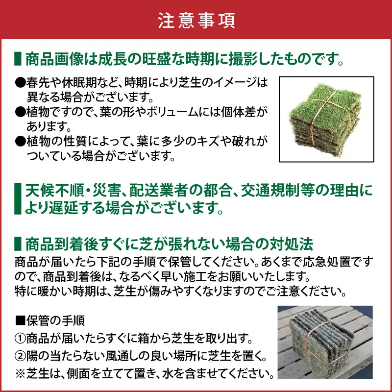 TM9 （ ティーエムナイン ） 省管理型コウライシバ トヨタ自動車(株) 開発品種 50平米 KN080-007-05 庭