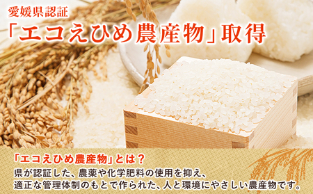 ＜令和7年産 西予市産 特別栽培米 エコえひめ コシヒカリ 白米 約5kg＞国産 精米 農薬・化学肥料不使用 一等米 約5キロ 愛媛県産 こしひかり お米 米 コメ 産地直送 送料無料 シゲちゃん農園 愛媛県 西予市【常温】『最短10営業日以内に順次発送予定』NSN0001
