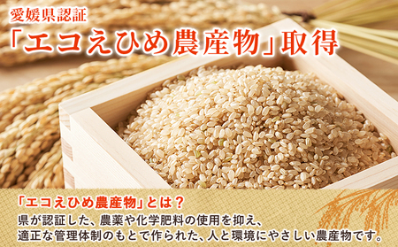 ＜令和7年産 西予市産 特別栽培米 エコえひめ コシヒカリ 玄米 約3kg＞国産 農薬・化学肥料不使用 一等米 3キロ 愛媛県産 こしひかり お米 米 コメ げんまい 産地直送 送料無料 シゲちゃん農園 愛媛県 西予市【常温】『最短10営業日以内に順次発送予定』NSN0002