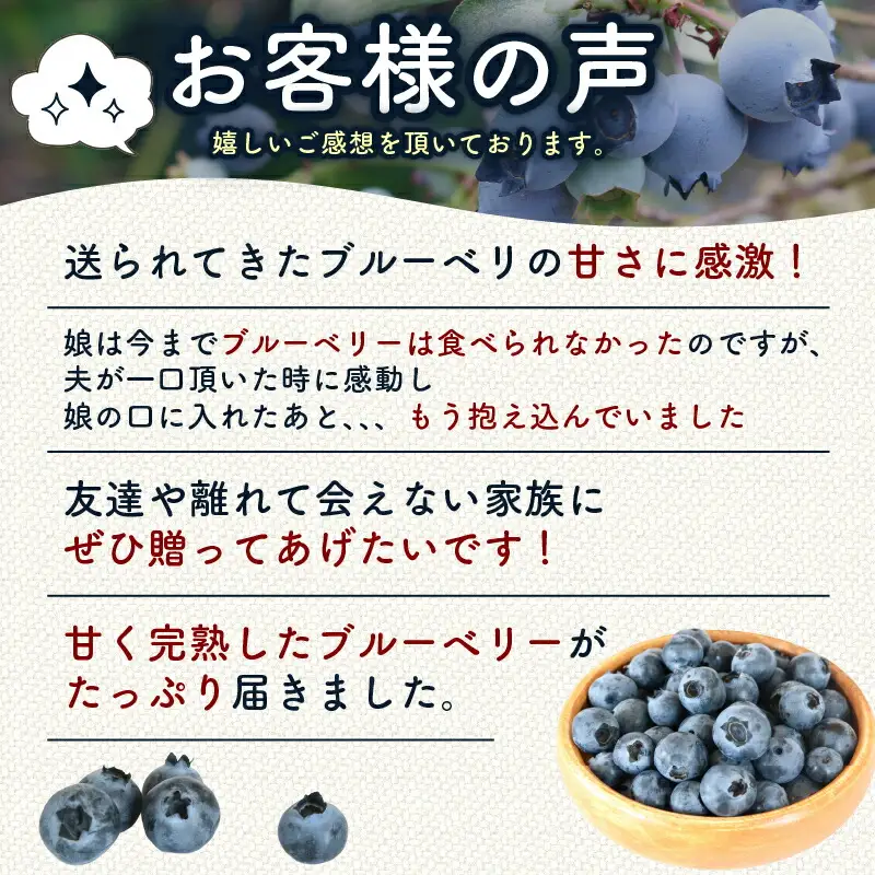 【先行予約】【全2回定期便】完熟生ブルーベリー （サザンハイブッシュ系）各600g（100ｇ×6パック） | フルーツ 果物 ベリー