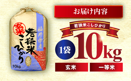  福井県産 コシヒカリ 玄米 10kg 一等級 /甘みと粘りが自慢 王道米 こしひかり 小浜市 / 若狭ふれいあい市場[BFEL001]