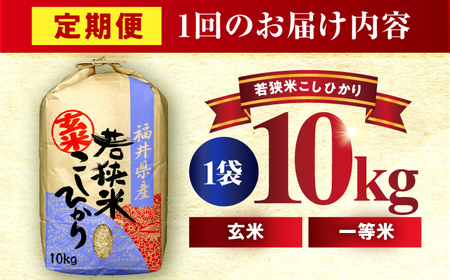 【6回定期便/2ヵ月に1回】 福井県産 コシヒカリ 玄米 10kg 一等級 /甘みと粘りが自慢 王道米 こしひかり 小浜市 / 若狭ふれいあい市場[BFEL016]