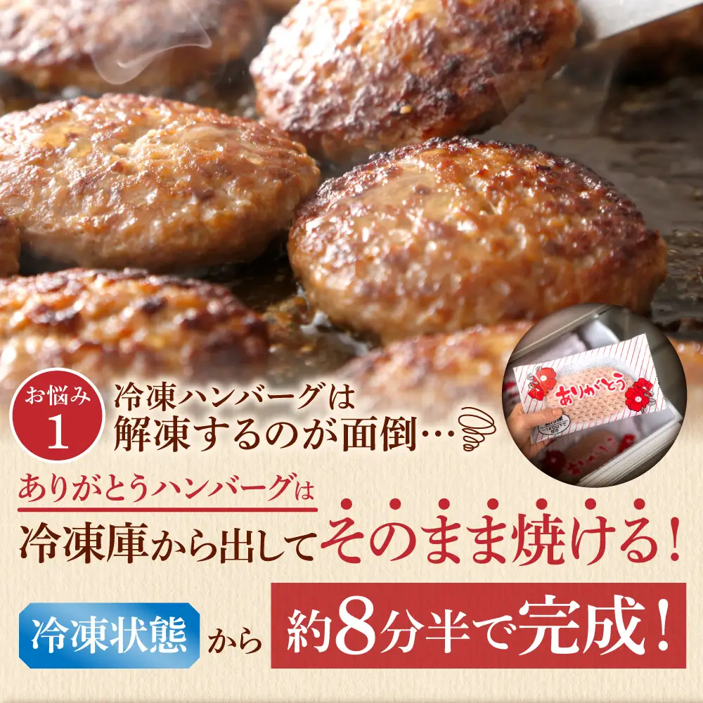 石狩市人気返礼品TOP2コンビセット(鮭ルイベ漬・ありがとうハンバーグ) | さけ いくら 佐藤水産 ハンバーグ 牛肉 ホクビー 北海道 石狩市
