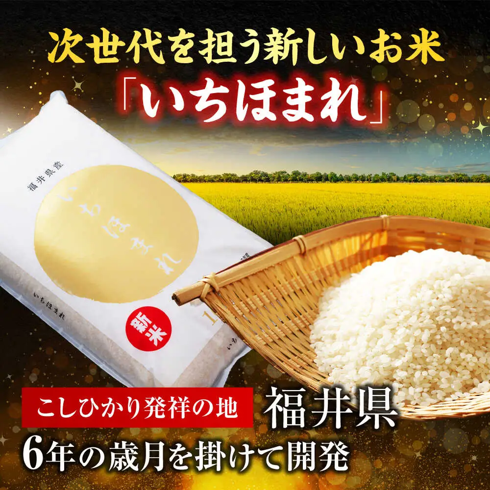 【2回定期便】【福井県産】 1回目：コシヒカリ 白米 10kg 2回目： いちほまれ 白米 10kg 福井県米 / コシヒカリ発祥 ブランド 特A常連 小浜市 / 若狭ふれあい市場[BFEL052]