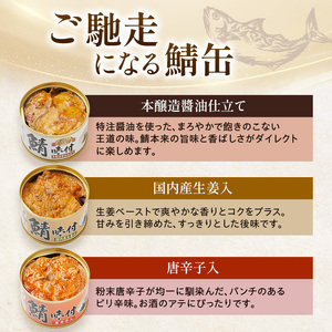 サバ缶 若狭 3種 詰め合わせ 缶詰 備蓄 サバ缶
