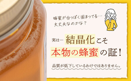 ★新蜜2025★【長崎県産】大和蜜（天然はちみつ）170g×2本 長与町/蜜ロマン養蜂園[ECE006]