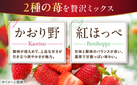 冷凍いちご 1kg（紅ほっぺ・かおり野） 滋賀県長浜市/株式会社みつなりのさと[AQBT013]