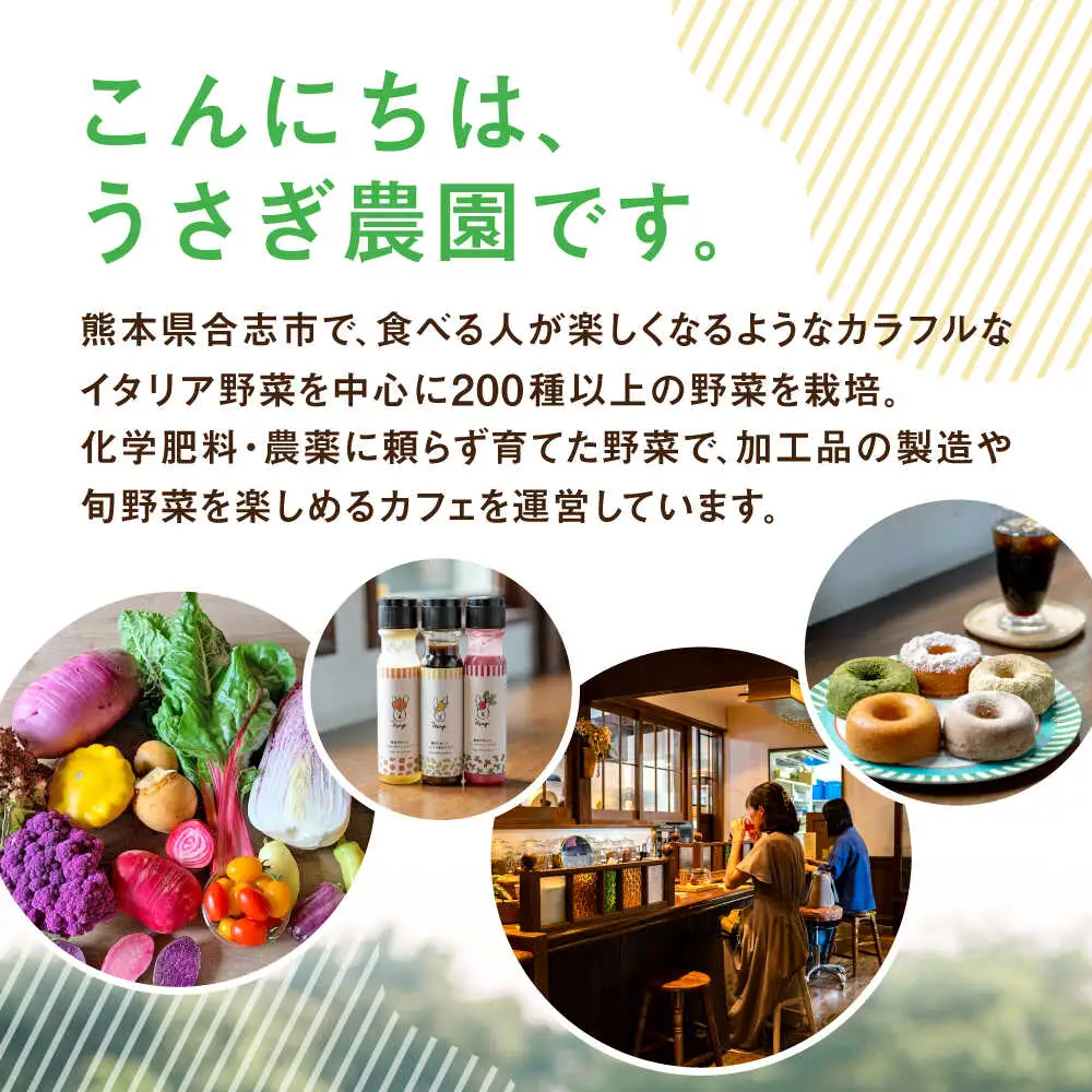 にんぺ にんにくのペースト 3個セット (70g×3個)【うさぎ農園】[AYDJ008]