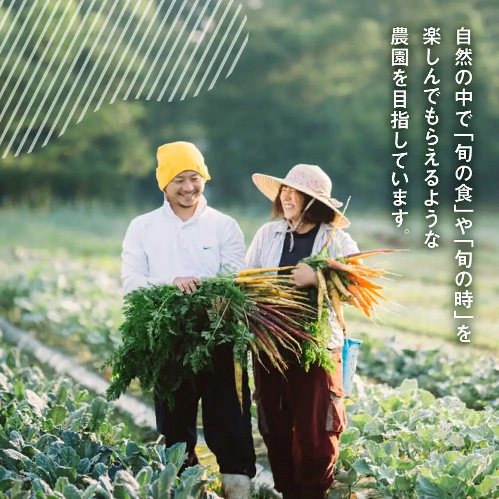 米粉のもっちり パンケーキミックス 200g×1袋【うさぎ農園】[AYDJ018]