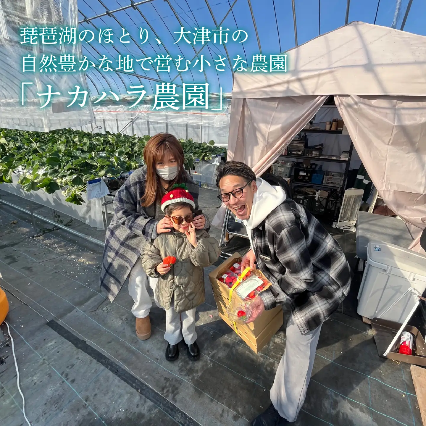 【先行予約】いちご（みおしずく）2パック / 苺