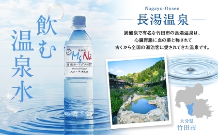 硬水ミネラルウォーター 「マグナ1800」 2L×12本 計24L