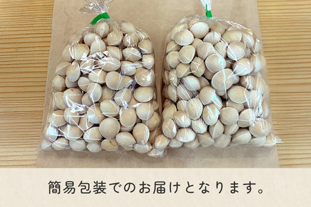 石岡市産　殻付き銀杏　500g×2袋 ぎんなん 銀杏 国産 茨城県 石岡市 B03-007