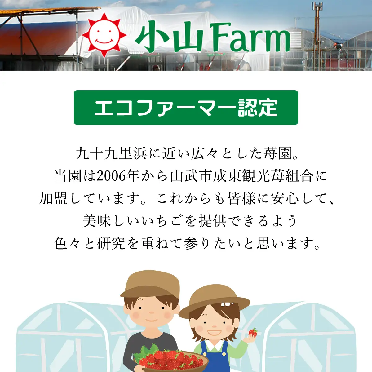 【先行予約】【2027年1月中旬より順次発送】いちご食べ比べセット（最大6品種の食べ比べ） SMAN064