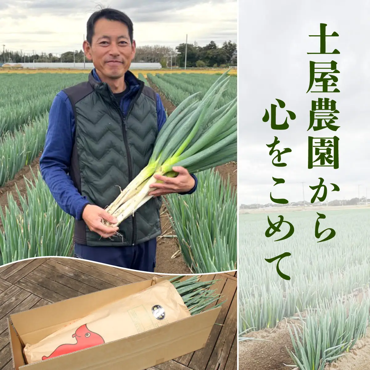 【先行予約】【山武市限定栽培】泥ネギでドドンと配送！ミネラル豊富で甘みたっぷりの「海水ネギ」７kg以上 / 地元の道の駅オライはすぬまで大人気の農家から直送! 【発送期間：2026年12月から2027年2月】SMCV002