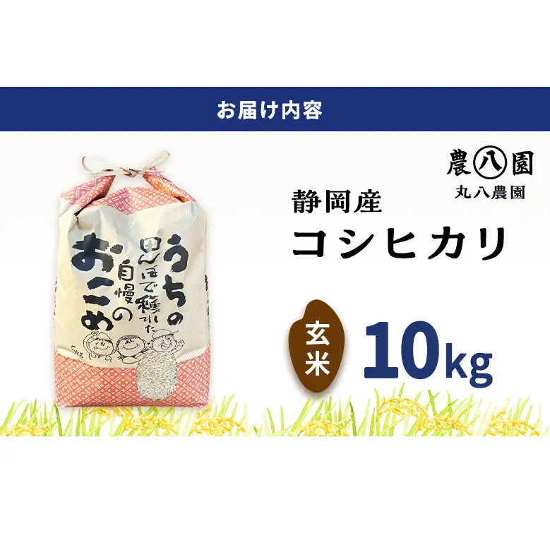 お米 令和8年度産静岡産コシヒカリ玄米 10kg 米 コメ こしひかり コシヒカリ 玄米 袋井市 静岡県