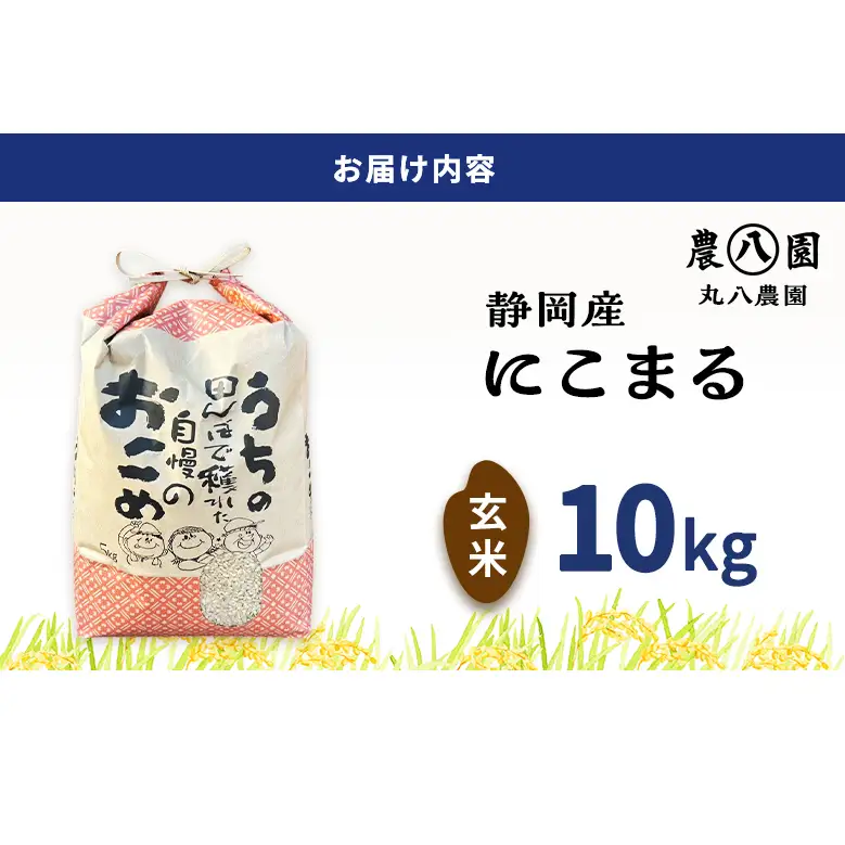 【予約】お米 令和8年度産静岡産にこまる玄米 10kg 米 コメ にこまる 玄米 袋井市 静岡県