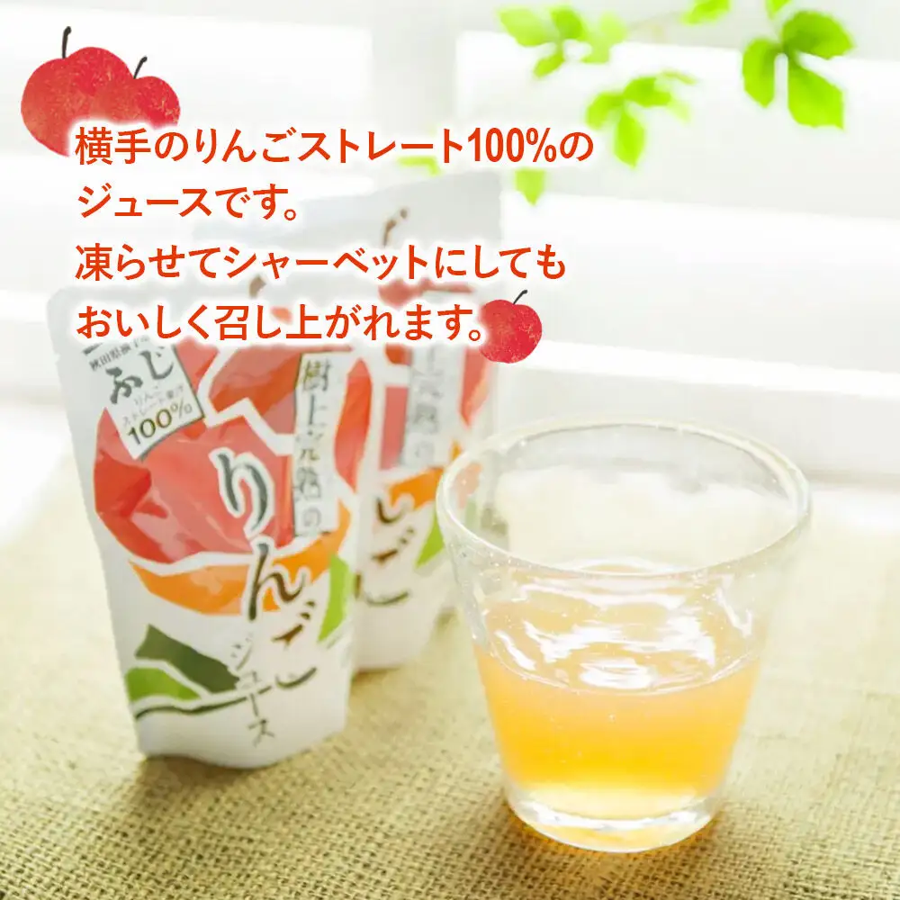 OK,ADAM ハードサイダー（330ml瓶×2本）とりんごジュース（180g×3袋）セット