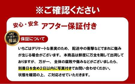 【2026年1月下旬～発送予定】いちご 古都華 約250g×2パック