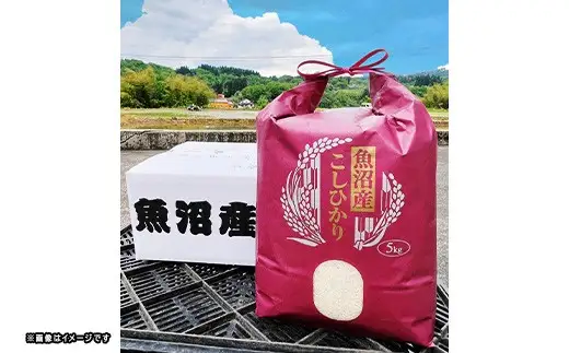 P4-01新潟県魚沼産コシヒカリ（長岡川口地域） 5kg
