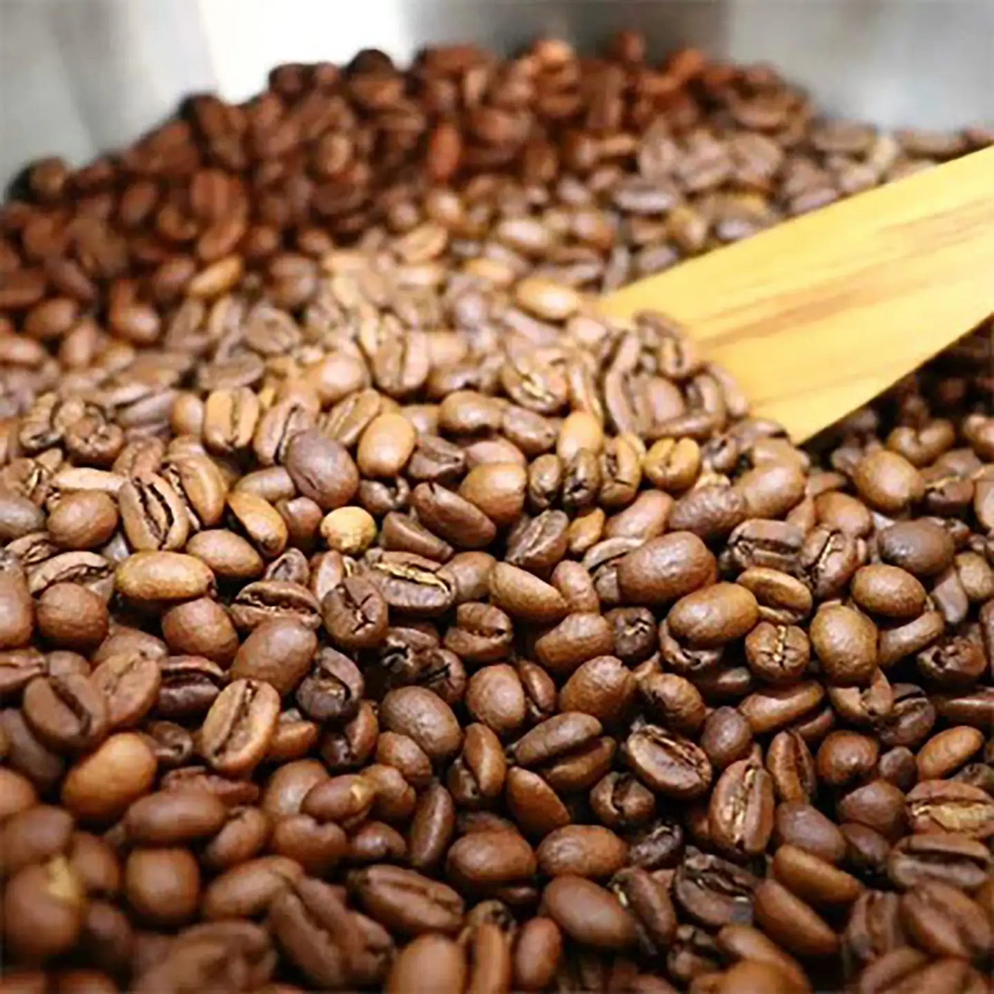 コーヒー 厳選スペシャルティコーヒー豆300g（100g×3）