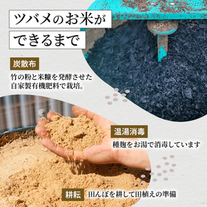 精米 ツバメの飛び交う棚田米 2kg×1袋 3ヵ月連続お届け　米 こめ お米 コメ こしひかり コシヒカリ 精米 新潟県 魚沼市 魚沼