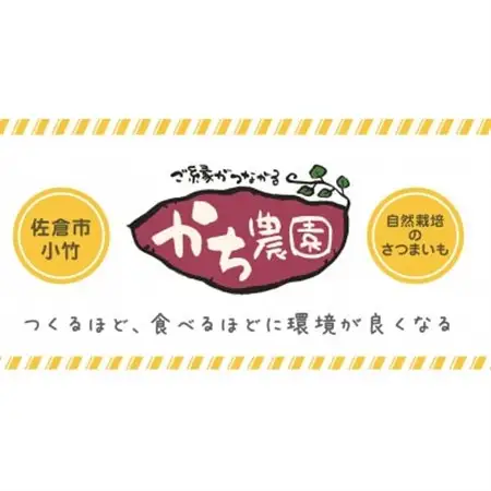 天日干し  佐倉の有機干し芋 計300g【1676400】