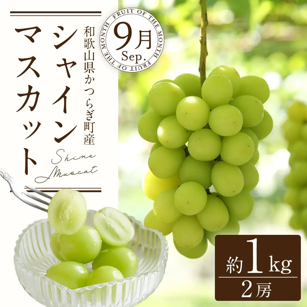 定期便全3回 【7月・8月・9月発送】 和歌山の夏のフルーツをお届け（桃・梨・シャインマスカット） ［TM224］