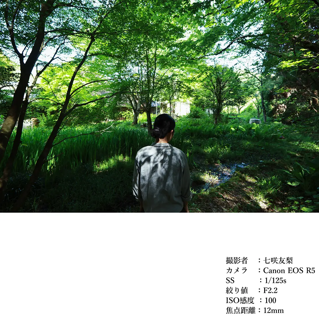 SIGMA 12mm F1.4 DC | Contemporary【ソニーEマウント】単焦点レンズ カメラ レンズ 家電