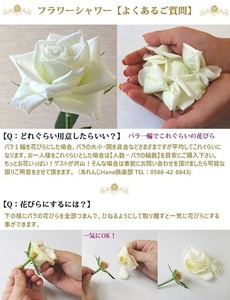 〈日付指定も可能〉 観賞はもちろん！バラ風呂やフラワーシャワーに！ ローズインにゅーよーくミックス５０輪 バラ５０輪詰め合わせ 風呂 薔薇 ローズ ギフト プレゼント ラッピング インテリア お花 フラワー H193-022