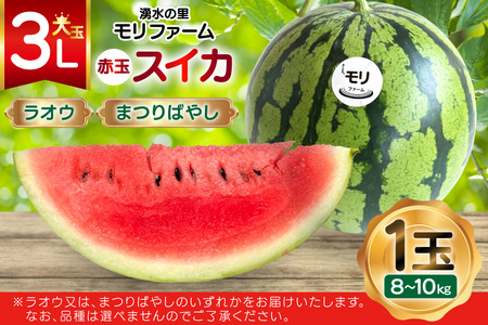 AJ455 【令和9年度出荷分】 湧水の里 モリファーム 赤玉 スイカ ラオウ まつりばやし 3L 8～10kg 1玉