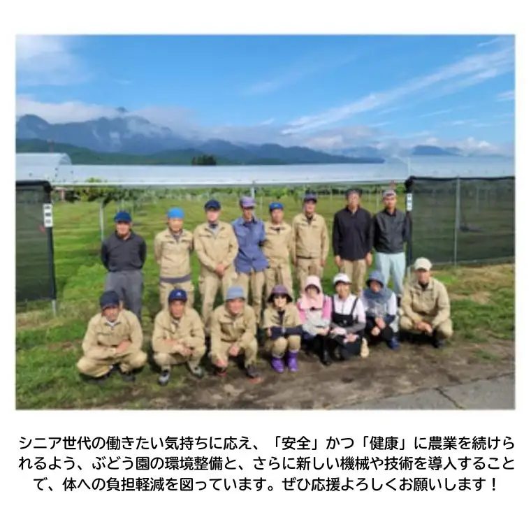 TK21 冷凍カット市田柿 Lサイズ 約400g（約200g×2） // 長野県 南信州 干し柿 高級ドライフルーツ 高糖度 冷凍フルーツ