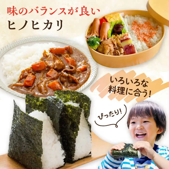 糸島産 ヒノヒカリ 20kg 糸島市 / 平山農園 米 白米 米 白米 ご飯 お米 20kg[AXN007]