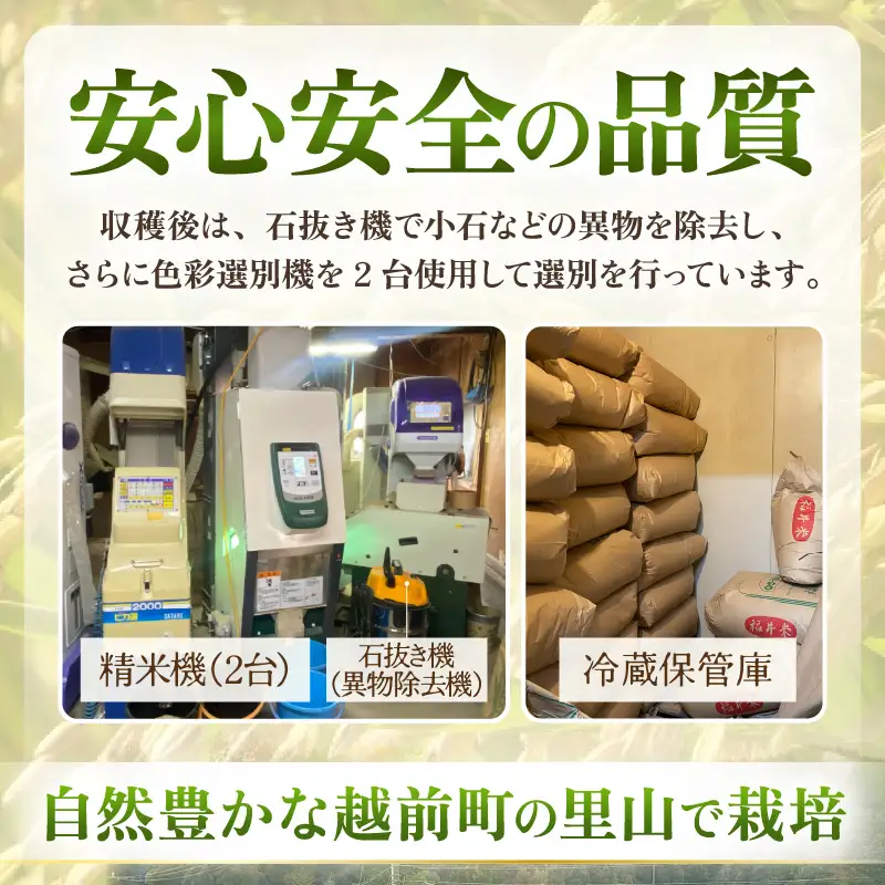 【先行予約】令和8年産  生活応援米 5kg【10月中旬以降】【白米】 [e81-a004_01]