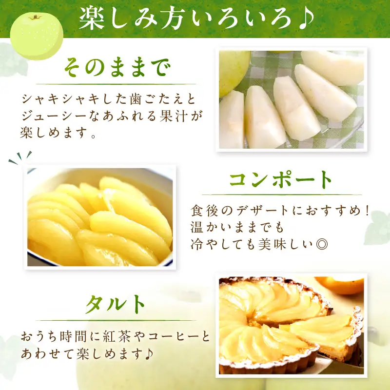 【先行予約／数量限定150】20世紀梨 5kg（2026年9月上旬～発送）梨